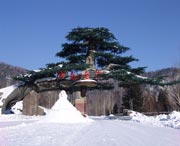 牡丹江今天天气